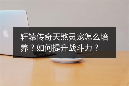 轩辕传奇天煞灵宠怎么培养？如何提升战斗力？
