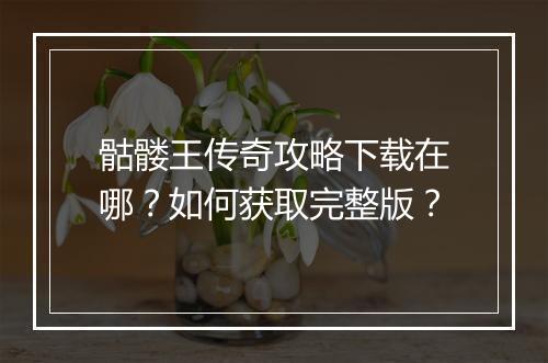 骷髅王传奇攻略下载在哪？如何获取完整版？