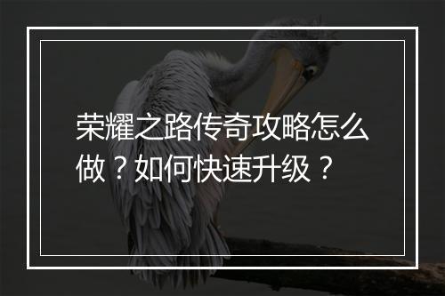 荣耀之路传奇攻略怎么做？如何快速升级？
