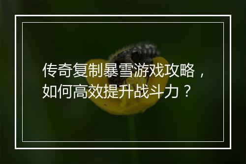 传奇复制暴雪游戏攻略，如何高效提升战斗力？