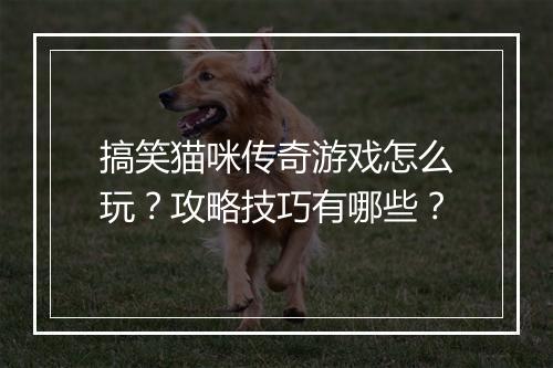 搞笑猫咪传奇游戏怎么玩？攻略技巧有哪些？