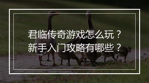君临传奇游戏怎么玩？新手入门攻略有哪些？