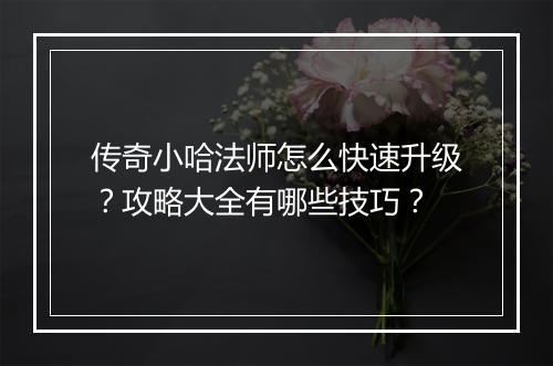 传奇小哈法师怎么快速升级？攻略大全有哪些技巧？