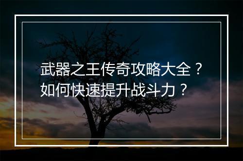 武器之王传奇攻略大全？如何快速提升战斗力？