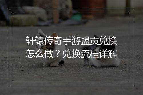 轩辕传奇手游盟贡兑换怎么做？兑换流程详解