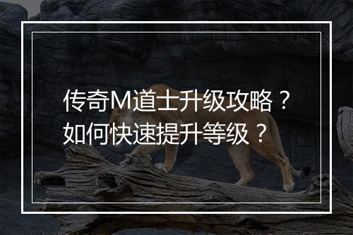 传奇M道士升级攻略？如何快速提升等级？