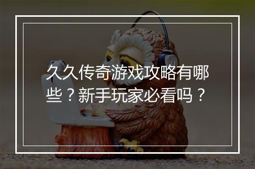 久久传奇游戏攻略有哪些？新手玩家必看吗？
