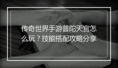 传奇世界手游普陀天宫怎么玩？技能搭配攻略分享