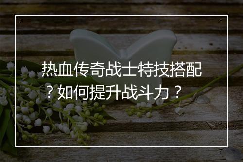 热血传奇战士特技搭配？如何提升战斗力？