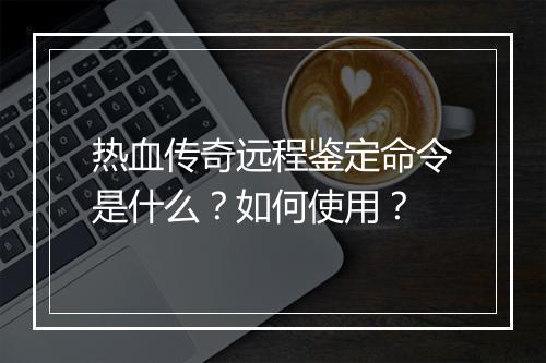 热血传奇远程鉴定命令是什么？如何使用？