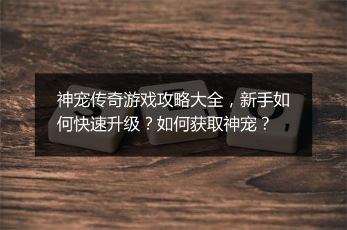 神宠传奇游戏攻略大全，新手如何快速升级？如何获取神宠？