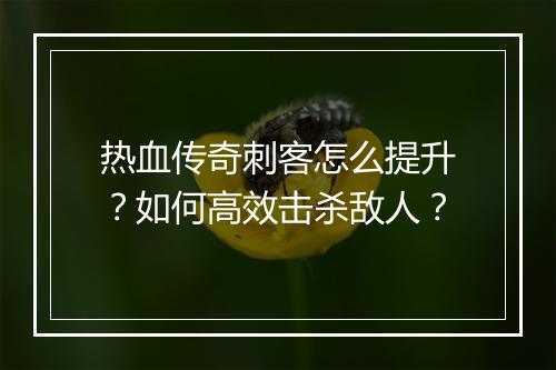 热血传奇刺客怎么提升？如何高效击杀敌人？
