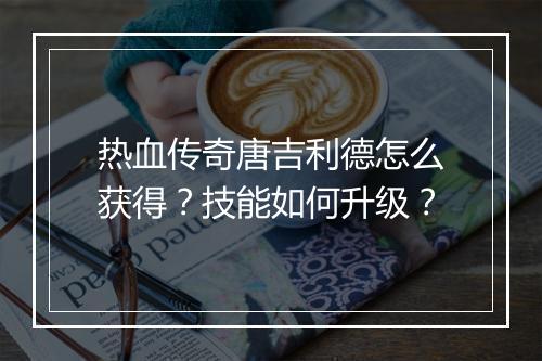 热血传奇唐吉利德怎么获得？技能如何升级？