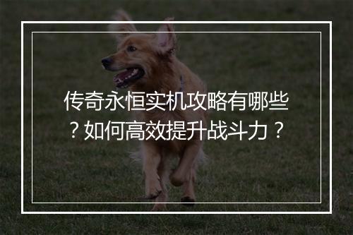传奇永恒实机攻略有哪些？如何高效提升战斗力？