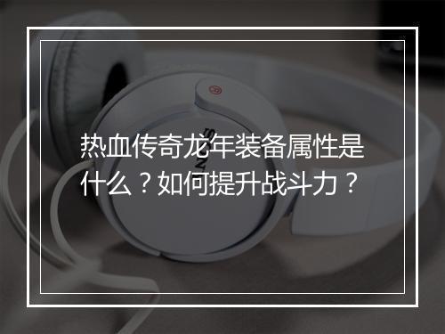 热血传奇龙年装备属性是什么？如何提升战斗力？