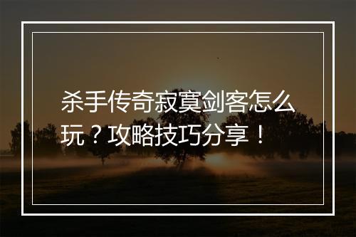 杀手传奇寂寞剑客怎么玩？攻略技巧分享！