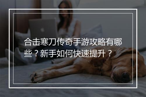 合击寒刀传奇手游攻略有哪些？新手如何快速提升？