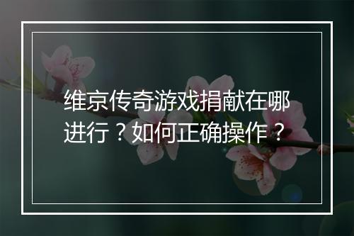 维京传奇游戏捐献在哪进行？如何正确操作？