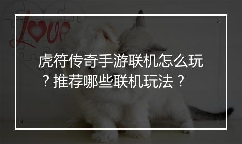 虎符传奇手游联机怎么玩？推荐哪些联机玩法？