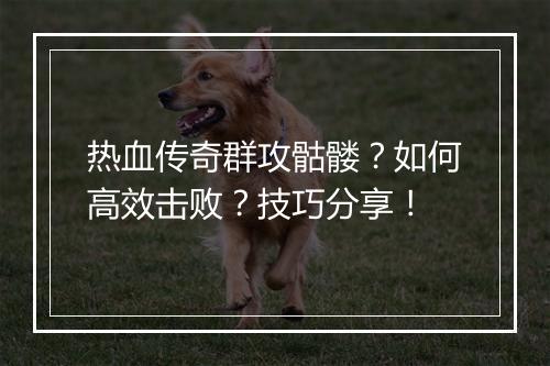 热血传奇群攻骷髅？如何高效击败？技巧分享！
