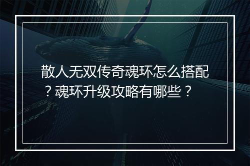 散人无双传奇魂环怎么搭配？魂环升级攻略有哪些？