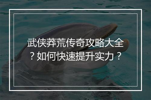 武侠莽荒传奇攻略大全？如何快速提升实力？