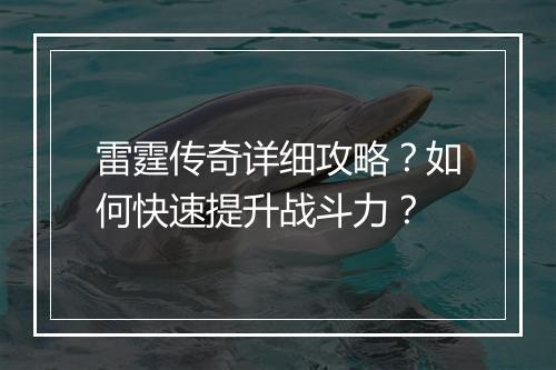 雷霆传奇详细攻略？如何快速提升战斗力？