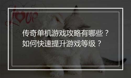 传奇单机游戏攻略有哪些？如何快速提升游戏等级？
