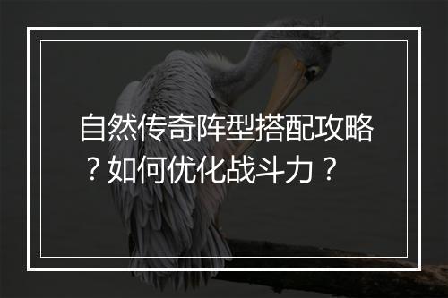 自然传奇阵型搭配攻略？如何优化战斗力？
