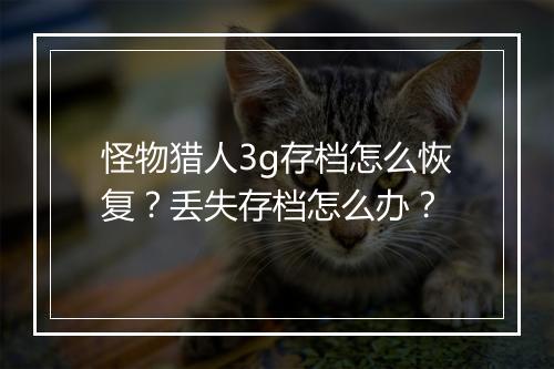 怪物猎人3g存档怎么恢复？丢失存档怎么办？