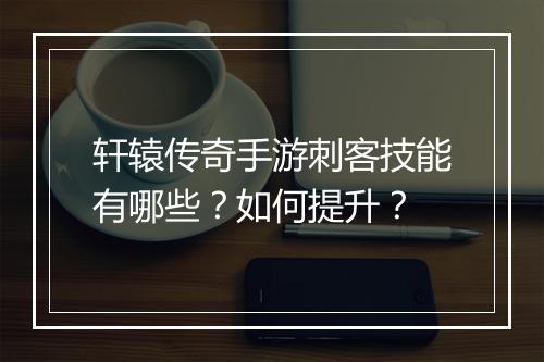 轩辕传奇手游刺客技能有哪些？如何提升？
