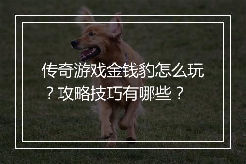传奇游戏金钱豹怎么玩？攻略技巧有哪些？