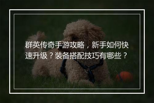群英传奇手游攻略，新手如何快速升级？装备搭配技巧有哪些？