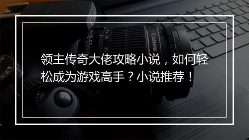 领主传奇大佬攻略小说，如何轻松成为游戏高手？小说推荐！