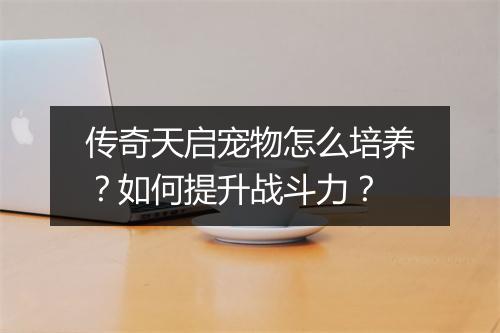 传奇天启宠物怎么培养？如何提升战斗力？