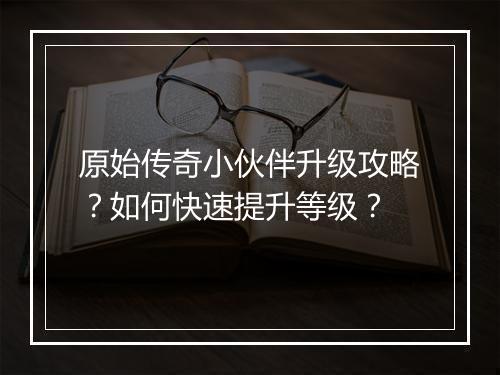 原始传奇小伙伴升级攻略？如何快速提升等级？