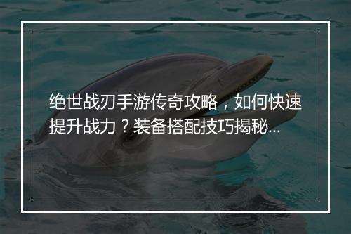绝世战刃手游传奇攻略，如何快速提升战力？装备搭配技巧揭秘？