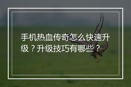 手机热血传奇怎么快速升级？升级技巧有哪些？