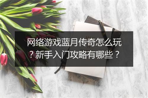 网络游戏蓝月传奇怎么玩？新手入门攻略有哪些？