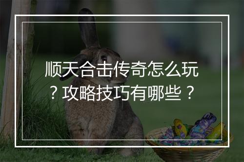顺天合击传奇怎么玩？攻略技巧有哪些？