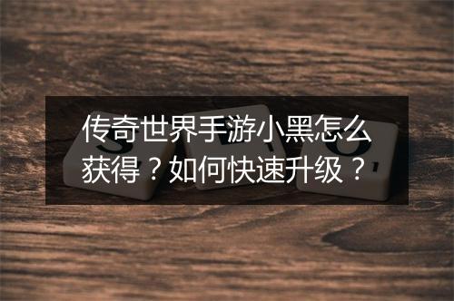 传奇世界手游小黑怎么获得？如何快速升级？