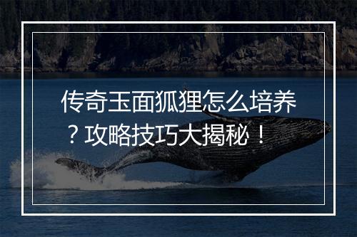 传奇玉面狐狸怎么培养？攻略技巧大揭秘！