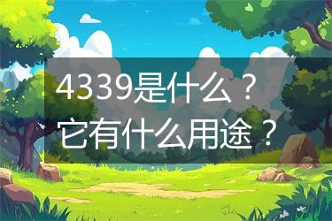 4339是什么？它有什么用途？