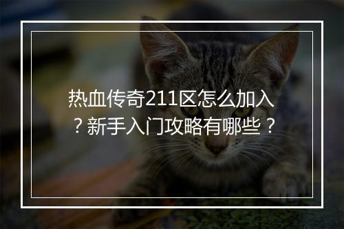 热血传奇211区怎么加入？新手入门攻略有哪些？