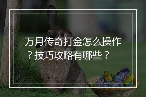 万月传奇打金怎么操作？技巧攻略有哪些？
