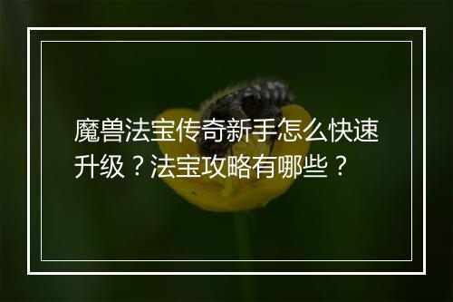 魔兽法宝传奇新手怎么快速升级？法宝攻略有哪些？