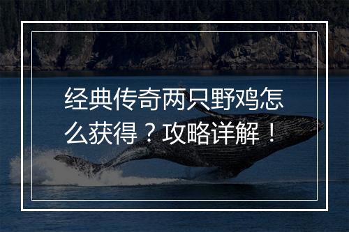 经典传奇两只野鸡怎么获得？攻略详解！