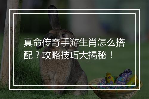 真命传奇手游生肖怎么搭配？攻略技巧大揭秘！