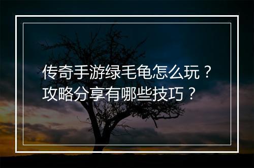 传奇手游绿毛龟怎么玩？攻略分享有哪些技巧？