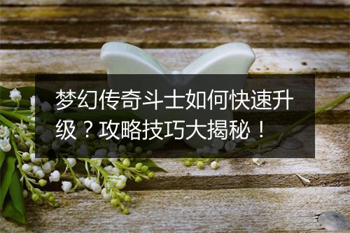 梦幻传奇斗士如何快速升级？攻略技巧大揭秘！